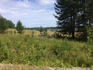 Продажа земли сельскохозяйственного назначения 10000 м² Ново-Московский тракт  