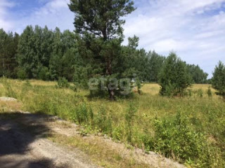 Фотография Продажа земли сельскохозяйственного назначения, 10000 м² , Ново-Московский тракт №2