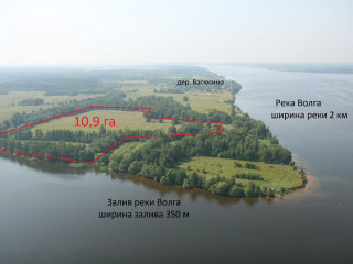 Земельный участок вблизи деревни Васюсино Калязинского района Тверской области