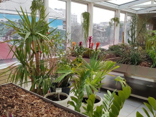 Фотография Продажа офиса, 1019 м² , улица Чапаева №8 Фотография Продажа офиса, 1019 м² , улица Чапаева №8