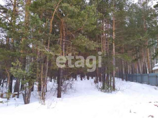 Фотография Продажа земли сельскохозяйственного назначения, 1200 м² , Челябинский тракт №3