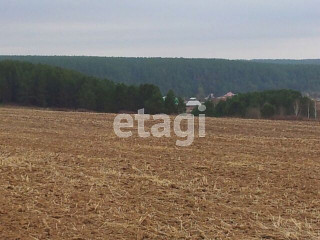 Фотография Продажа земли сельскохозяйственного назначения, 240000 м² , Режевской тракт, 23-й километр №2