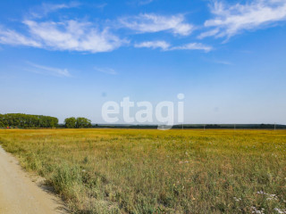Фотография Продажа земельного участка, 1200 м² , Р-351, 15-й километр №8