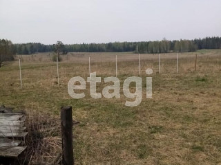 Фотография Продажа земли сельскохозяйственного назначения, 10000 м² , Серовский тракт №8