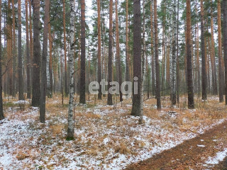 Фотография Продажа земельного участка, 2800 м² , Полевской тракт, 19-й километр №4