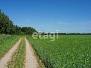 Фотография Продажа земли сельскохозяйственного назначения, 10900 м² , Челябинский тракт №2