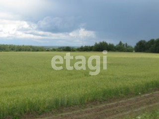 Фотография Продажа земли сельскохозяйственного назначения, 10900 м² , Челябинский тракт №3