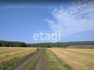 Фотография Продажа земли сельскохозяйственного назначения, 10900 м² , Челябинский тракт №1