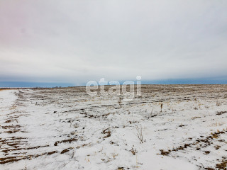 Фотография Продажа земли сельскохозяйственного назначения, 44900 м² , Р-351, 15-й километр №5