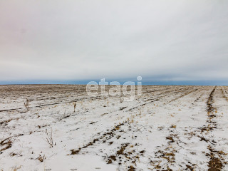 Фотография Продажа земли сельскохозяйственного назначения, 44900 м² , Р-351, 15-й километр №4