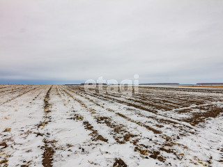 Фотография Продажа земли сельскохозяйственного назначения, 44900 м² , Р-351, 15-й километр №2