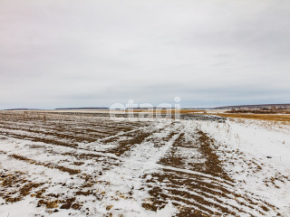 Фотография Продажа земли сельскохозяйственного назначения, 44900 м² , Р-351, 15-й километр №3