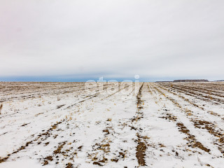 Фотография Продажа земли сельскохозяйственного назначения, 44900 м² , Р-351, 15-й километр №1
