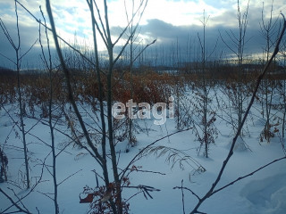 Фотография Продажа земли сельскохозяйственного назначения, 1000 м² , Челябинский тракт №6