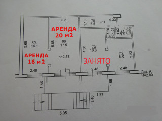 План помещения: Аренда помещения свободного назначения, 36 м² , улица Островского 37/55 , №1