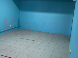 Фотография Продажа помещения свободного назначения, 20 м² , Рождественская набережная №8