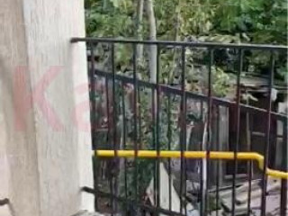 Фотография Продажа помещения свободного назначения, 129 м² , Пасечная улица №5