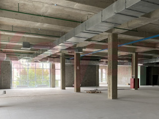 Фотография Аренда помещения свободного назначения, 230 м² , им. Гаврилова П.М. ул. №5