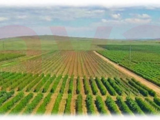 Фотография Продажа офиса, 15000000 м² , улица 27 Сентября №1