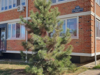 Фотография Продажа помещения свободного назначения, 75 м² , улица Цезаря Куникова №1