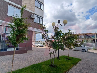 Фотография Продажа помещения свободного назначения, 60 м² , улица Адмирала Крузенштерна №3