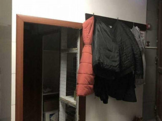 Фотография Аренда помещения свободного назначения, 229 м² , Большая Спасская улица 8с1А  №11