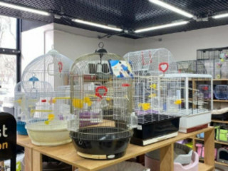 Фотография Аренда помещения свободного назначения, 100 м² , Ленинградское шоссе 100  №9