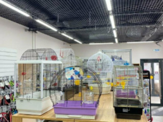 Фотография Аренда помещения свободного назначения, 100 м² , Ленинградское шоссе 100  №13