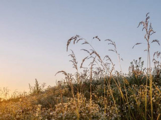 Фотография Продажа помещения свободного назначения, 3 м² , Ленинградское шоссе 228Бс1  №18