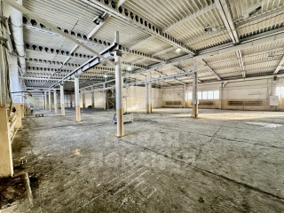 Фотография Аренда производственного помещения, 1300 м² , Семиреченская улица 97А  №6