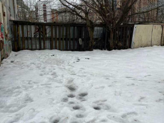 Фотография Аренда помещения свободного назначения, 277 м² , шоссе Энтузиастов 2с38  №5