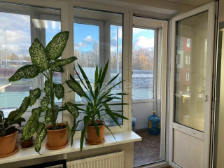 Фотография Аренда офиса, 53 м² , проспект Александровской Фермы 29М  №3