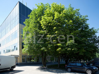 Фотография Аренда офиса, 48 м² , улица Обручева 52с3  №10