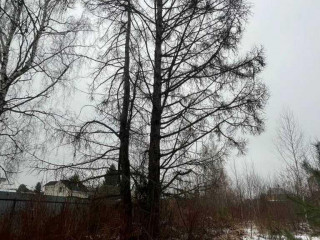 Фотография Аренда помещения свободного назначения, 700 м² , проезд Мечникова 2  №18