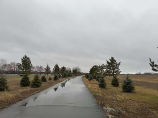 Фотография Аренда помещения свободного назначения, 2000 м² , Огородная улица 303  №3
