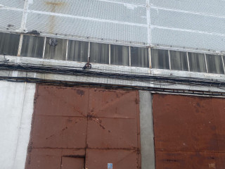 Фотография Аренда склада, 1914 м² , Белокаменное шоссе вл20А №12 Фотография Аренда склада, 1914 м² , Белокаменное шоссе вл20А №12