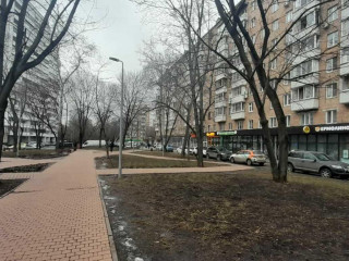 Фотография Аренда помещения свободного назначения, 140 м² , Судостроительная улица 1  №12