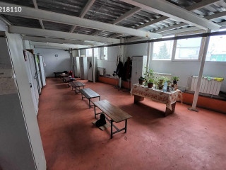 Фотография Аренда помещения свободного назначения, 1440 м² , Парковая улица 25  №13