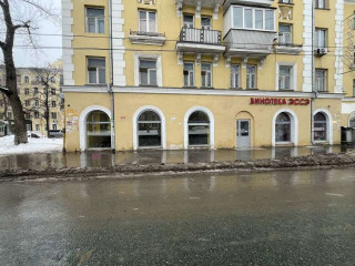 Фотография Аренда магазина, 66 м² , улица Победы 101  №2