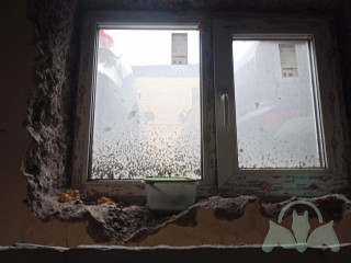 Фотография Аренда склада, 30 м² , бульвар Генерала Карбышева 8  №10