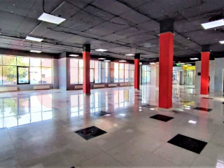 Фотография Аренда помещения свободного назначения, 247 м² , улица Лизы Чайкиной №3