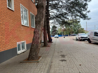Фотография Аренда помещения свободного назначения, 200 м² , Олимпийская улица №8
