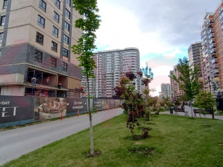 Фотография Продажа помещения свободного назначения, 51 м² , Адмиралтейский бульвар №8