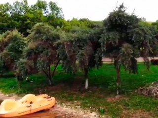 Фотография Продажа производственного помещения, 8500 м² , переулок Жуковского №15 Фотография Продажа производственного помещения, 8500 м² , переулок Жуковского №15