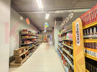 Фотография Продажа магазина, 506 м² , Сормовская улица №4