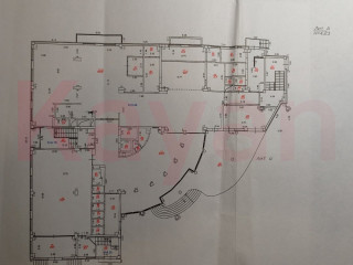 Фотография Аренда помещения свободного назначения, 315 м² , им. Гаврилова П.М. ул. №8