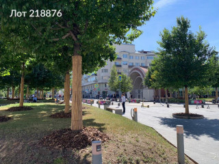 Фотография Аренда помещения свободного назначения, 90 м² , Хоромный тупик 2/6  №20