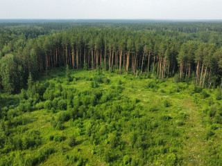 Фотография Продажа земельного участка, 6 м² , Агатовая улица 19  №1
