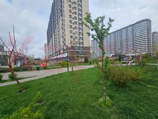 Фотография Продажа помещения свободного назначения, 67 м² , Адмиралтейский бульвар №4