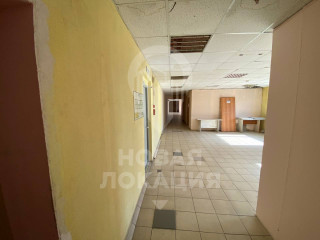 Фотография Аренда помещения свободного назначения, 55 м² , парк Омск №14